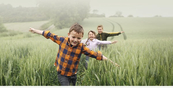 Hamilton Heights Estate Homes